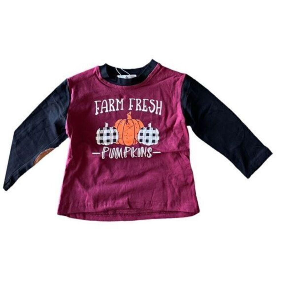 NWT Boys Farm Fresh Pumpkins Shirt w/Raglan Sleeves & Elbow Patch Size 0-3 month - Picture 2 of 6